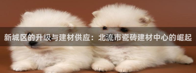 杏鑫平台代理怎么样赚钱
