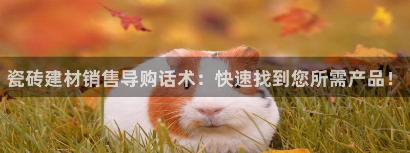 杏鑫官网注册账号是什么