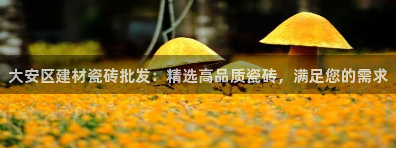 杏鑫平台代理注册多少钱一个