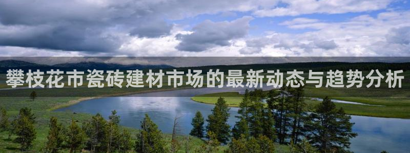 杏鑫平台代理注册流程