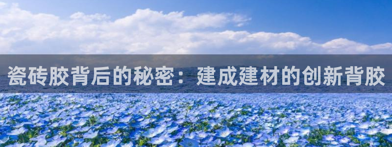 杏鑫官网注册账号是什么