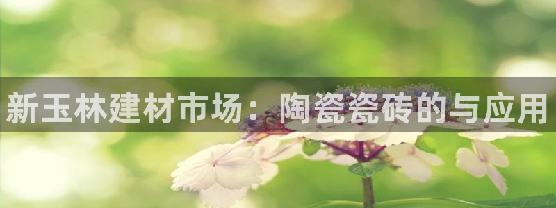 杏鑫官网注册账号是什么意思