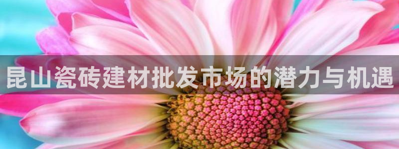 杏鑫娱乐官网下载