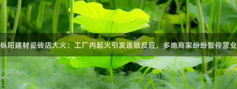 杏鑫平台登录注册