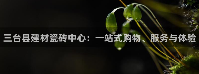 杏鑫平台登录