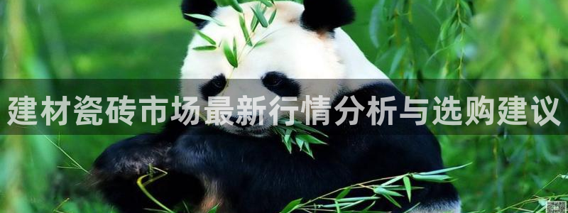 杏鑫娱乐官方网站客户端登录