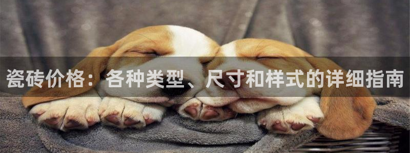 杏鑫官网注册账号密码