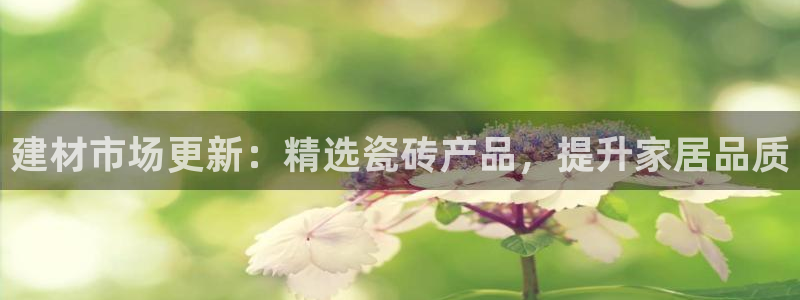 杏鑫平台在线注册流程