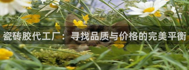 杏鑫注册登录网址是什么