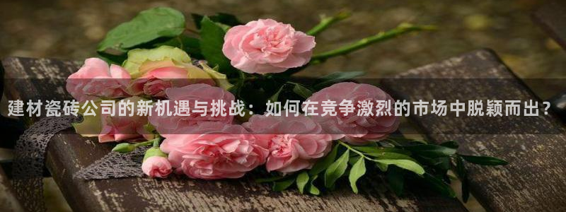 杏鑫官网注册账号密码是什么