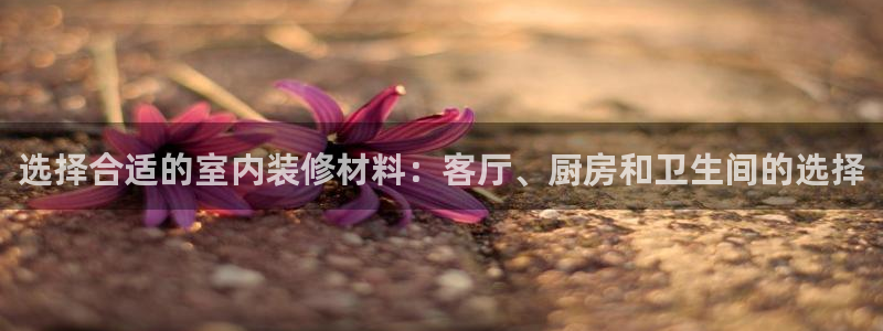 杏鑫官网注册账号密码是什么