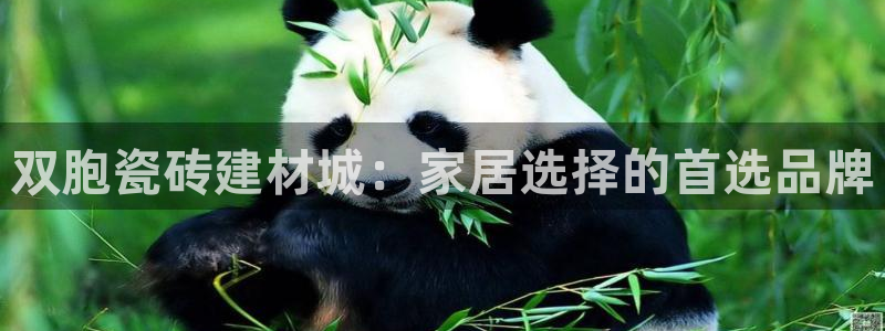 杏鑫娱乐官网登录不了