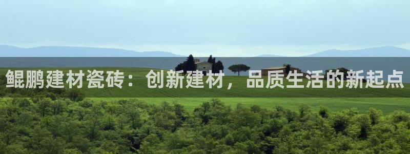 杏鑫平台注册入口在哪