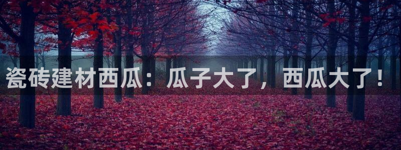 杏鑫平台注册地址是哪里