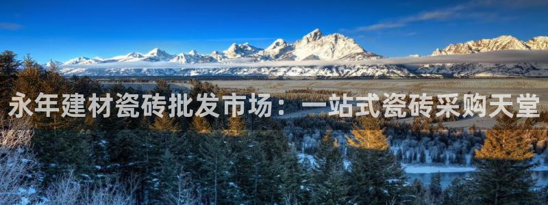 杏鑫平台招商电话号码查询