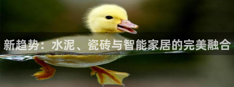 杏鑫平台怎么样黑钱吗知乎推荐