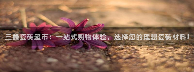 杏鑫平台测速怎么样