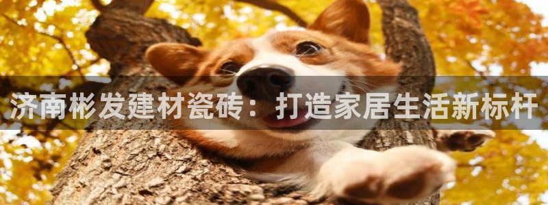 杏鑫娱乐官方网站客户端登录