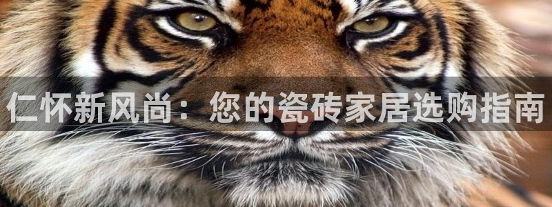 杏鑫娱乐平台测速怎么样