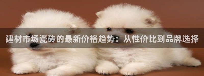 杏鑫官网最新信息新闻