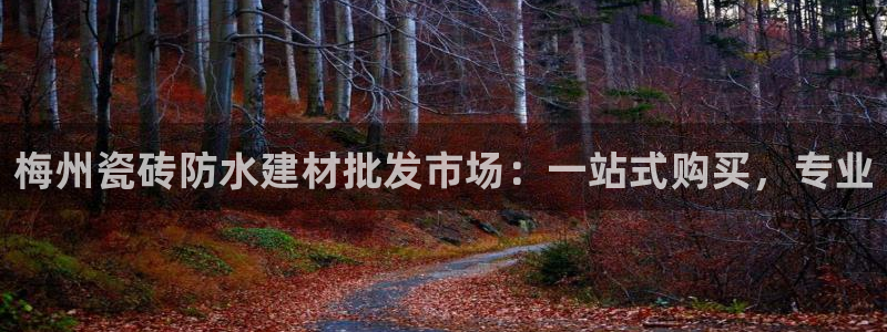 杏鑫平台代理注册