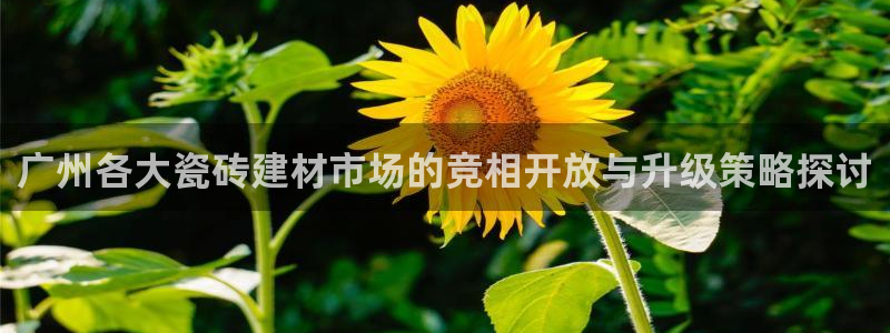 杏鑫娱乐平台登录注册网站