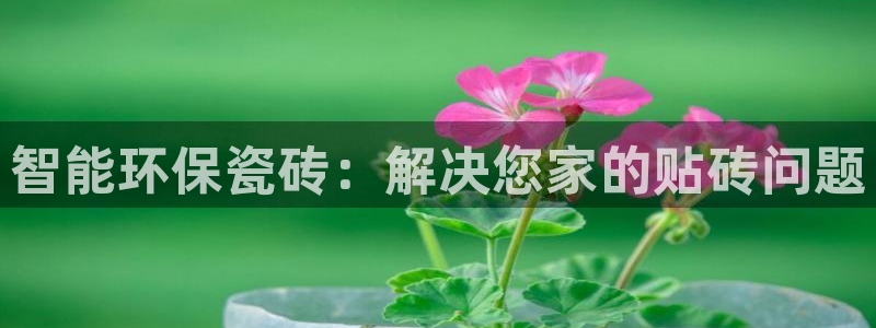 杏鑫平台注册登录