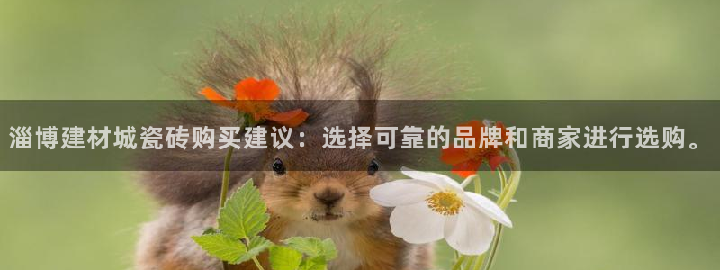 杏鑫平台注册地址是哪里