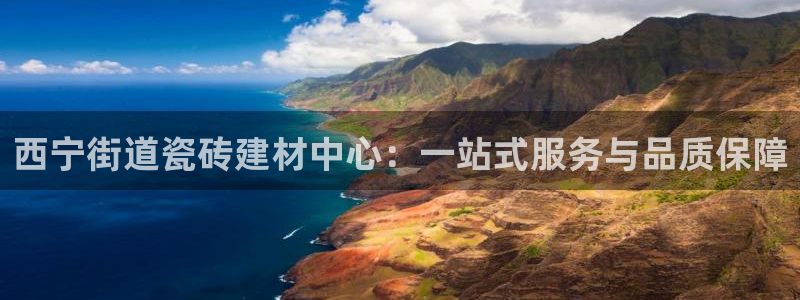 杏鑫平台代理注册流程