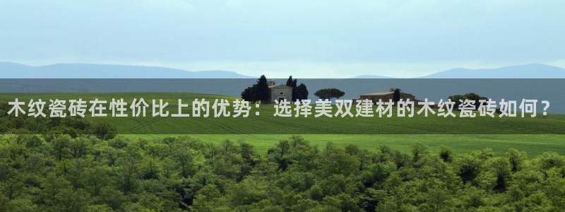 杏鑫代理注册资金多少