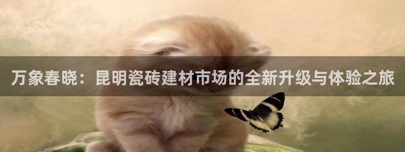 杏鑫娱乐平台登录