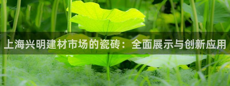 杏鑫平台代理怎么做的