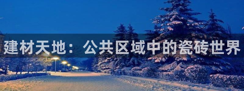 杏鑫官网最新信息新闻