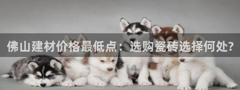 杏鑫平台野马联盟怎么样